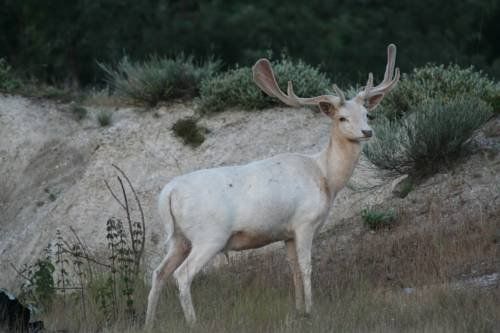 صورة الفندق 1