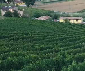 IL CASALE TRA I VIGNETI Magione Italy