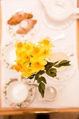 صورة الفندق 16