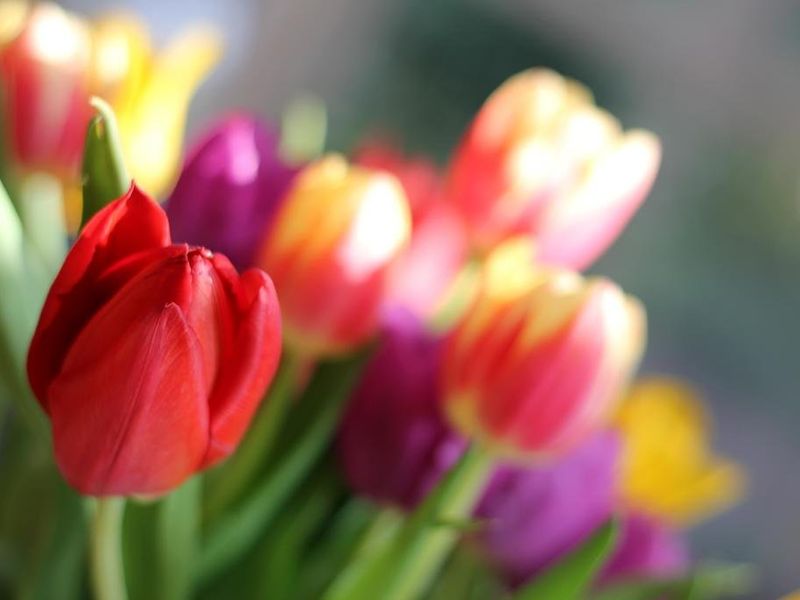 صورة الفندق 17