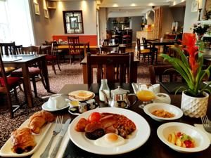 Hotel Photo 15