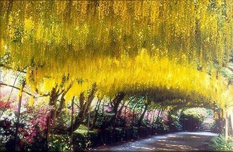 صورة الفندق 19