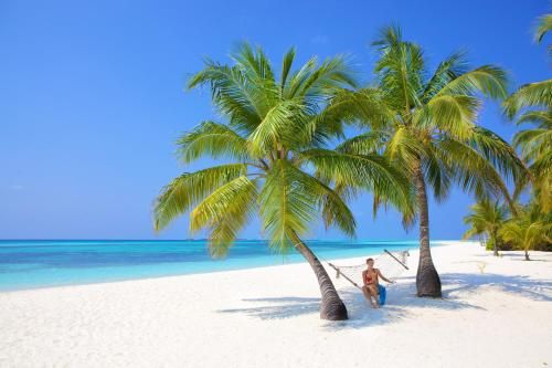 صورة الفندق 23