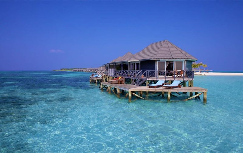 صورة الفندق 24