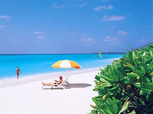 صورة الفندق 21