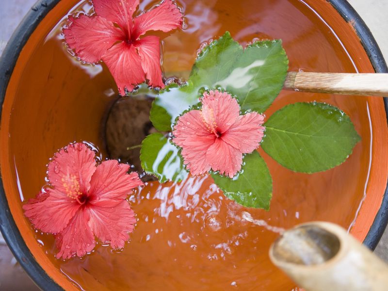 صورة الفندق 10