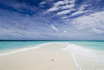 صورة الفندق 19