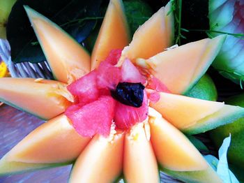 صورة الفندق 8
