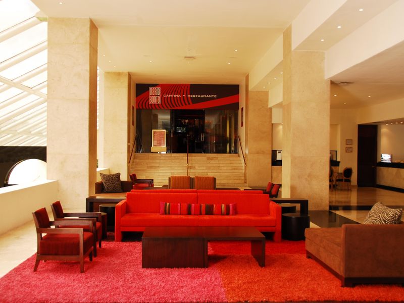 صورة الفندق 8