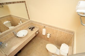 صورة الفندق 8