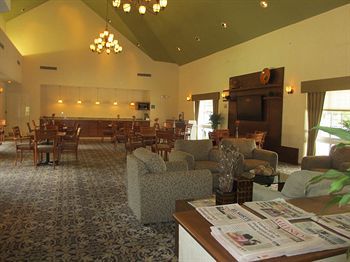 صورة الفندق 8