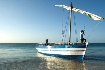 صورة الفندق 18