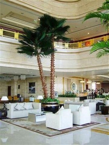 صورة الفندق 13
