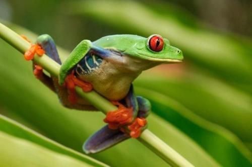 صورة الفندق 13