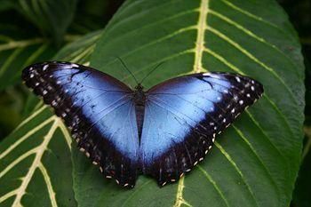 صورة الفندق 15