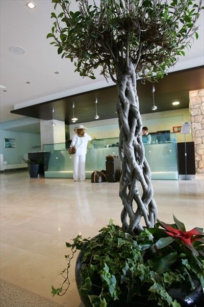 صورة الفندق 8