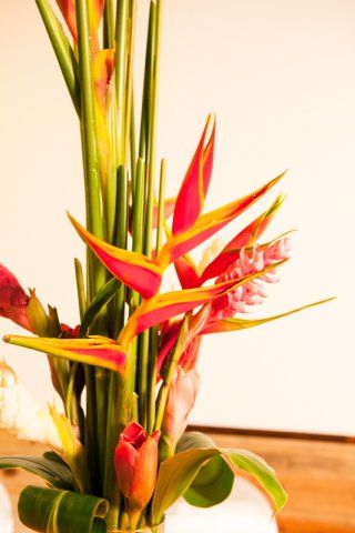 صورة الفندق 11