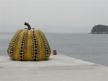 صورة الفندق 24
