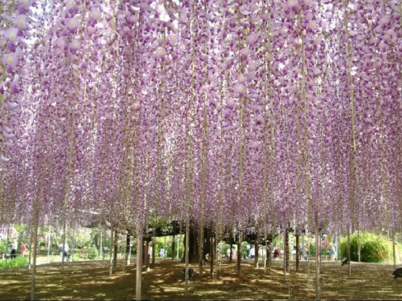 صورة الفندق 21