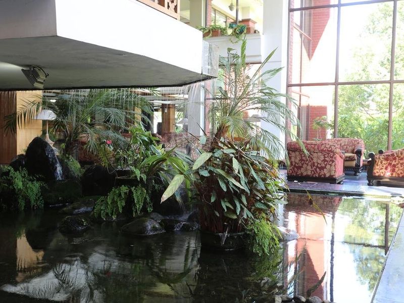 Hotel Photo 21