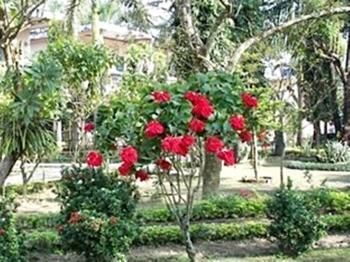 صورة الفندق 12