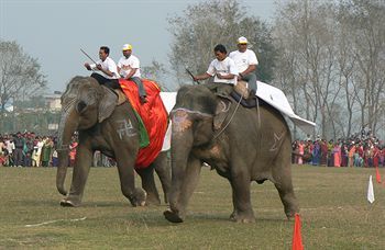صورة الفندق 10