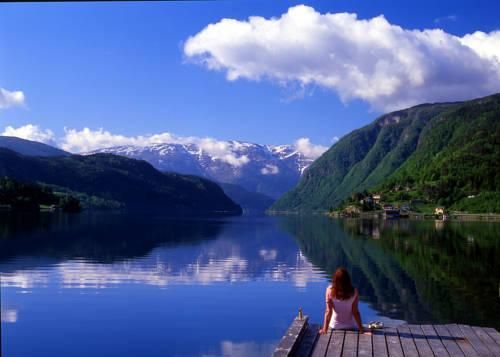 صورة الفندق 20