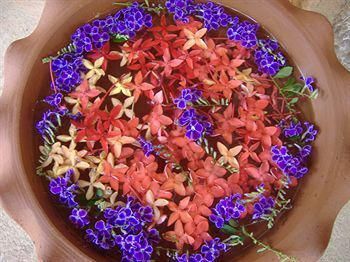 صورة الفندق 11