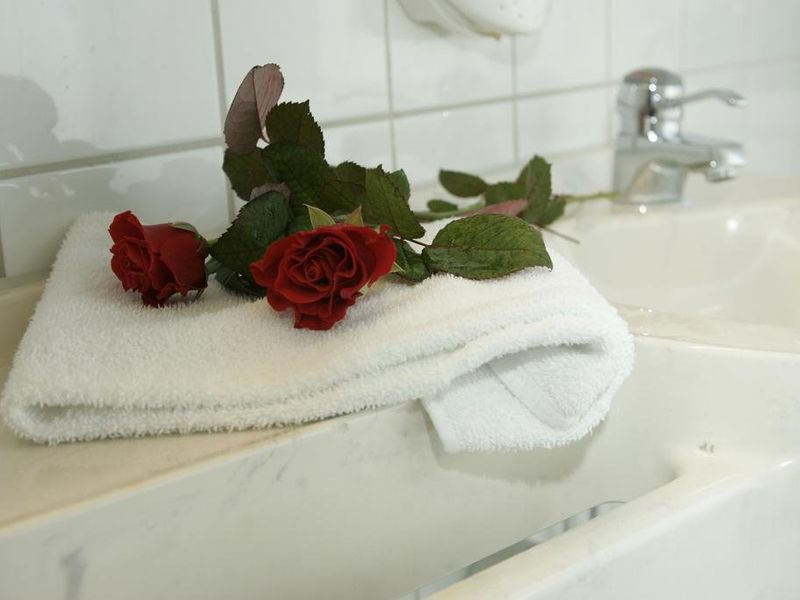صورة الفندق 10