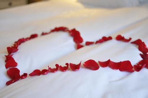 صورة الفندق 5