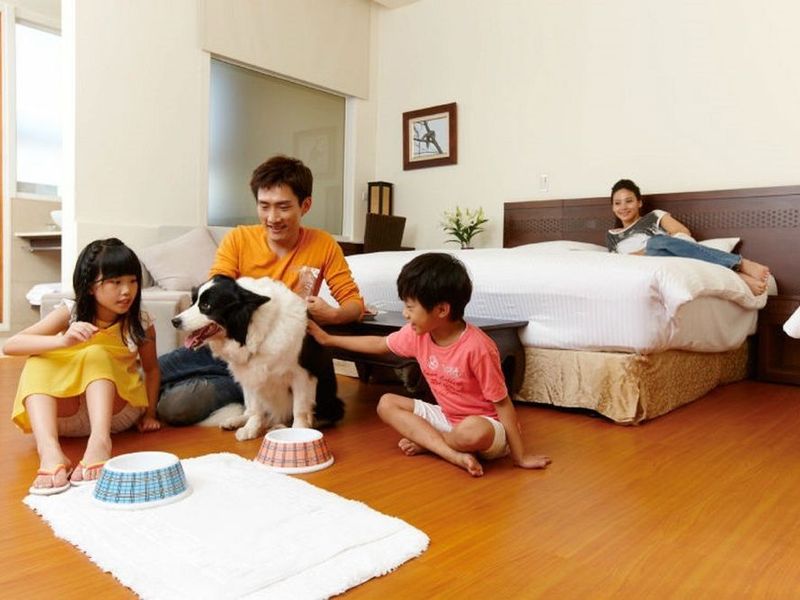 Hotel Photo 5