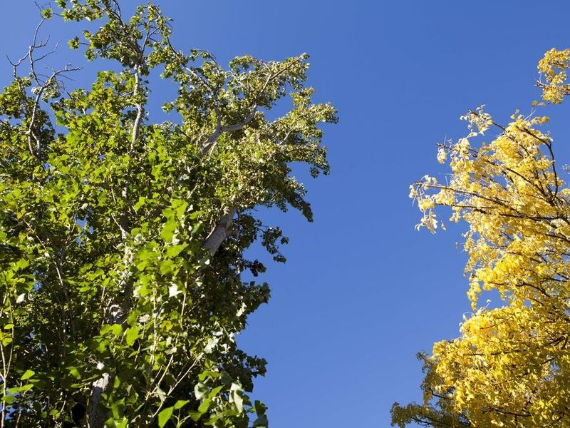 صورة الفندق 9