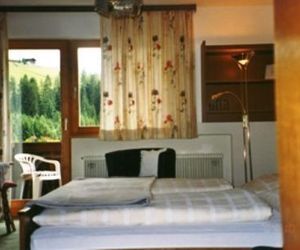 Haus Dorferleiten Alpbach Austria