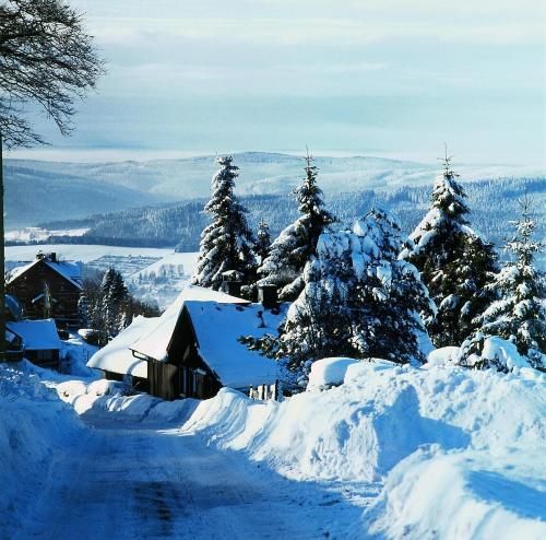 صورة الفندق 23