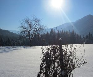 Ferienwohnung Walpurga Ebner Faistenau Austria