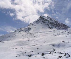 Salcher Galtuer Austria