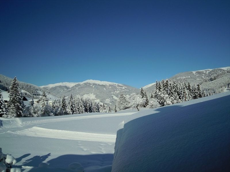 صورة الفندق 1