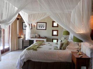 Фото отеля Thornybush Simbambili Lodge