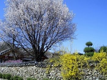 صورة الفندق 12