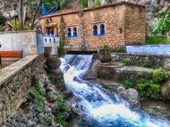 صورة الفندق 24