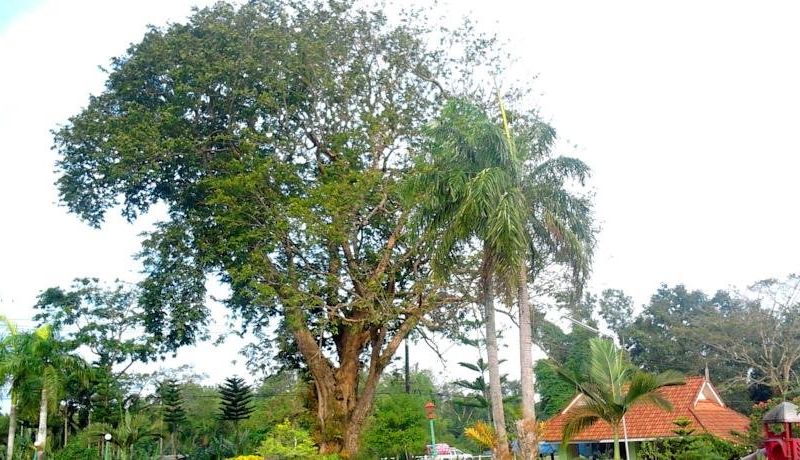 صورة الفندق 17
