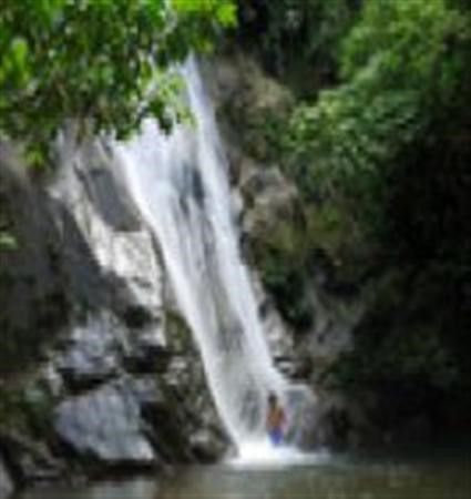 صورة الفندق 21