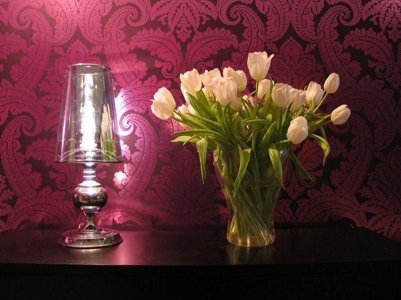 صورة الفندق 13