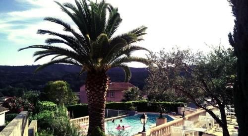 صورة الفندق 21