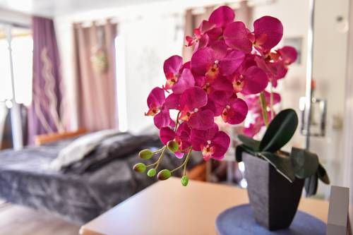 صورة الفندق 16