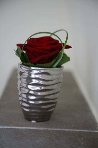 صورة الفندق 19