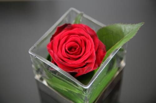 صورة الفندق 20