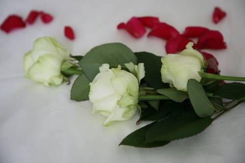 صورة الفندق 21