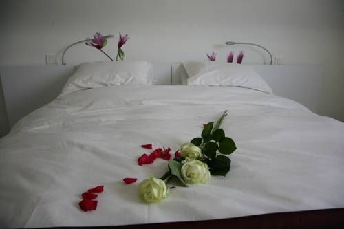صورة الفندق 6