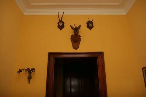 صورة الفندق 14